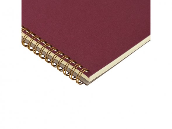 Бизнес тетрадь на гребне А5 Pragmatic, 60 листов в клетку, бордовый 