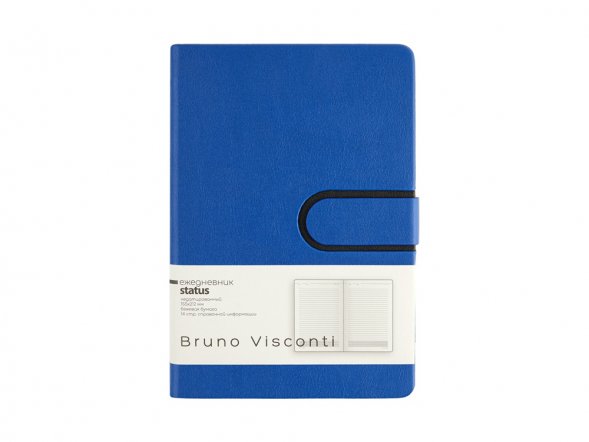 Ежедневник недатированный А5 Status, синий 