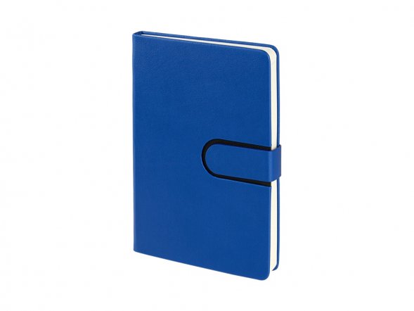 Ежедневник недатированный А5 Status, синий 