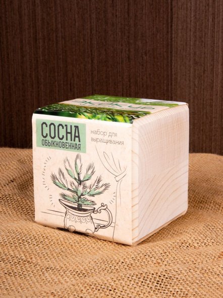 Набор для выращивания «Экокуб», сосна 