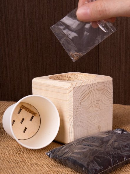 Набор для выращивания «Экокуб», сосна 