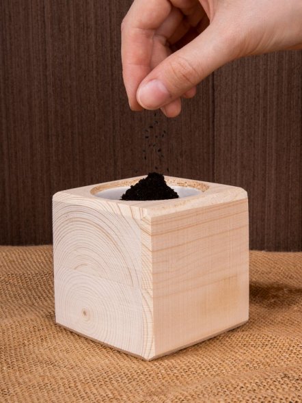 Набор для выращивания «Экокуб», сосна 