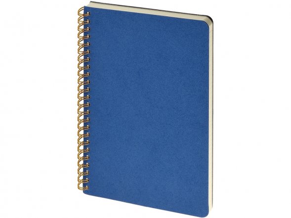 Бизнес тетрадь на гребне А5 Pragmatic, 60 листов в клетку, синий 