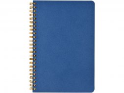 Бизнес тетрадь на гребне А5 Pragmatic, 60 листов в клетку, синий