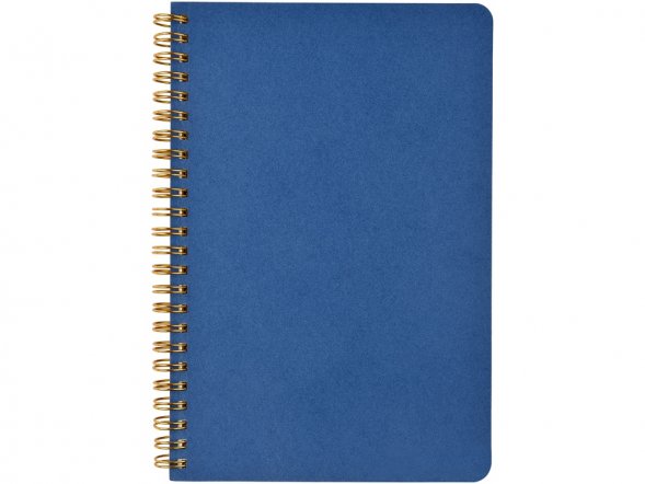 Бизнес тетрадь на гребне А5 Pragmatic, 60 листов в клетку, синий 