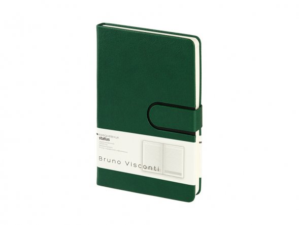 Ежедневник недатированный А5 Status, зеленый 