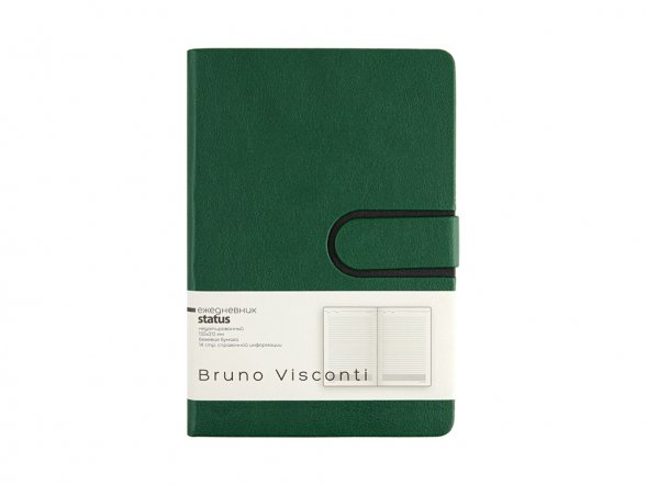 Ежедневник недатированный А5 Status, зеленый 