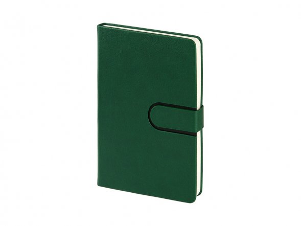 Ежедневник недатированный А5 Status, зеленый 