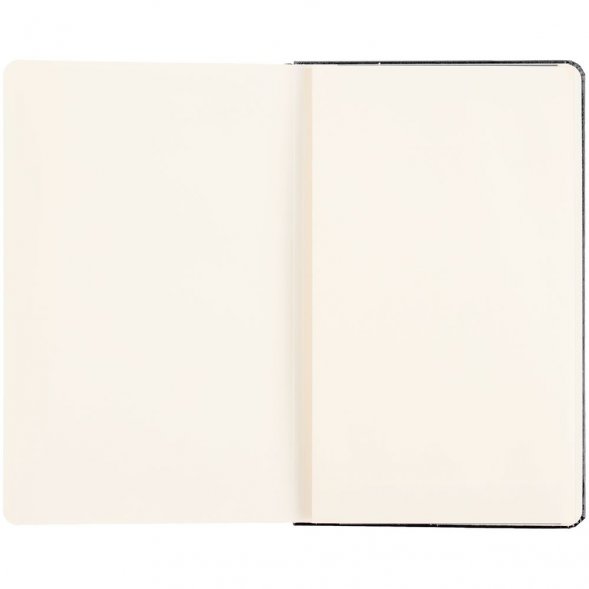 Записная книжка Moleskine Professional Large, черная