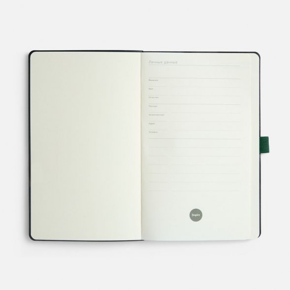 Ежедневник Lungo, недатированный, зеленый 