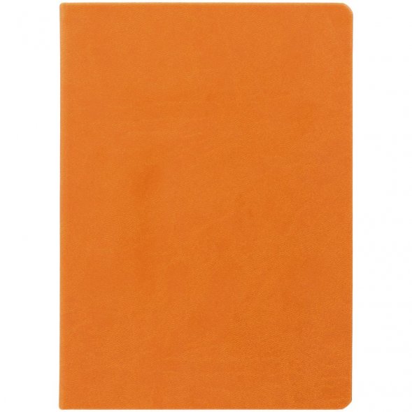 Ежедневник Basis, датированный, оранжевый 