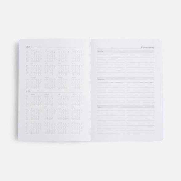 Ежедневник Basis, датированный, оранжевый 