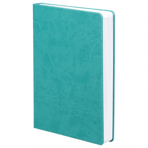 Ежедневник Basis, датированный, бирюзовый 