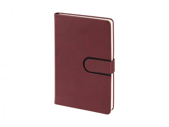 Ежедневник недатированный А5 Status, бордовый 