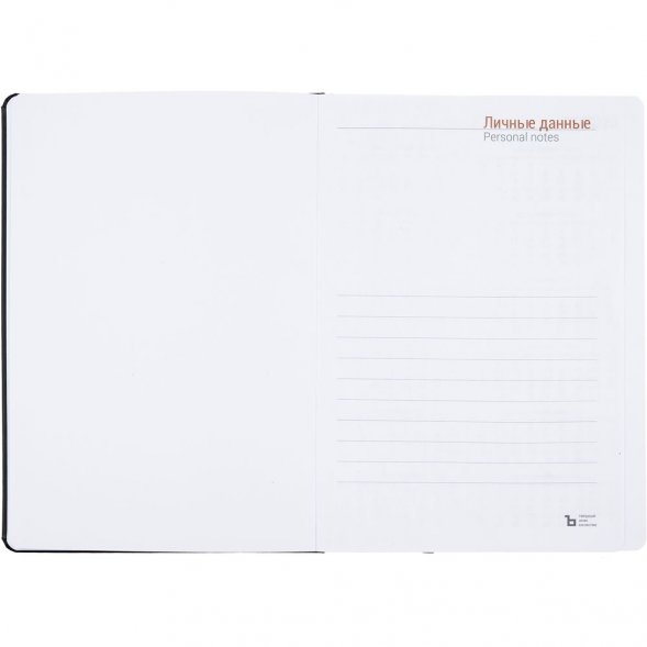 Ежедневник Basis, датированный, черный 