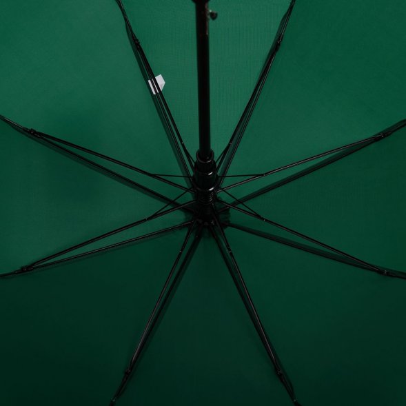Зонт-трость Standard, зеленый 