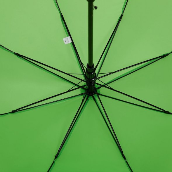 Зонт-трость Standard, зеленое яблоко 