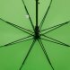 Зонт-трость Standard, зеленое яблоко 