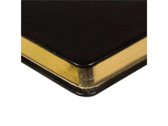 Ежедневник недатированный А5 Megapolis Nebraska, черный с золотым обрезом 
