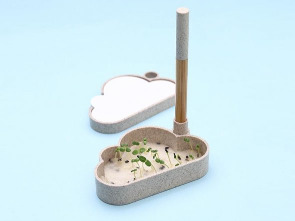 Набор для записей с семенами ромашки Patio 