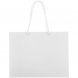 Пакет бумажный «Крафт», S, белый 