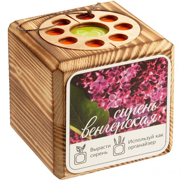 Набор для выращивания с органайзером «Экокуб Burn», сирень 