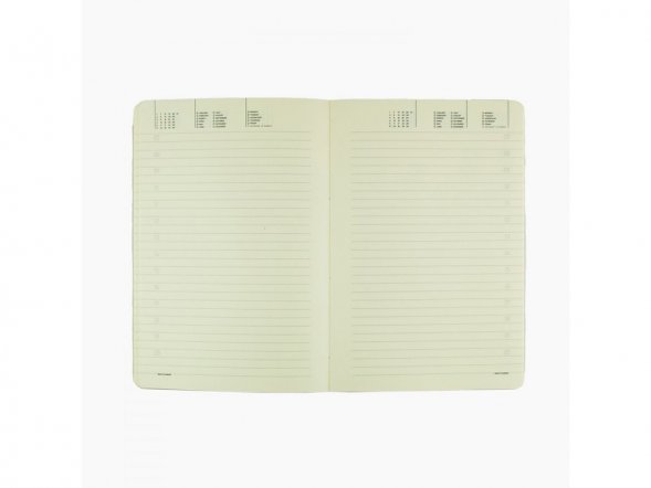 Ежедневник А5 недатированный Megapolis Flex, зефирный мятный 