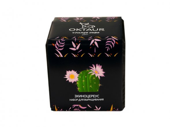 Набор для выращивания Small village cube Эхиноцереус 