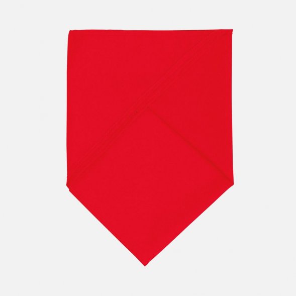 Шейный платок Bandana, красный 