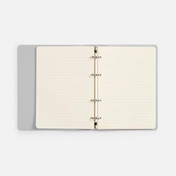 Ежедневник Ringo, недатированный, серебристый 