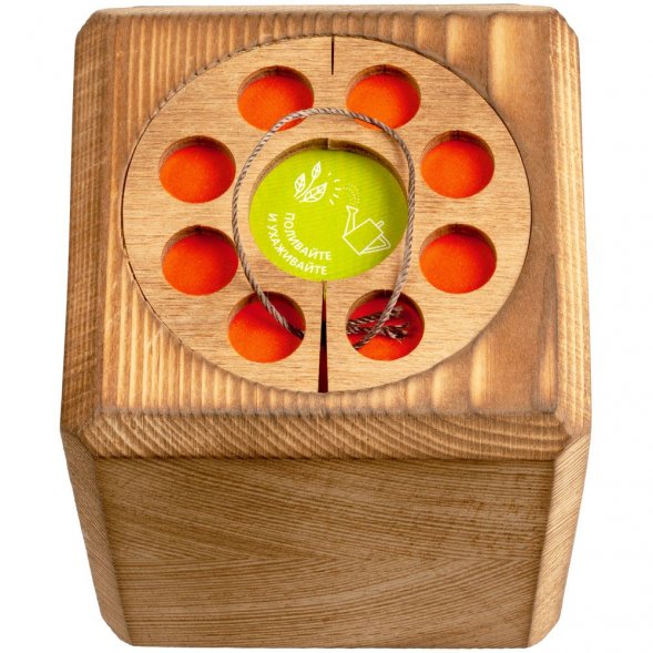 Набор для выращивания с органайзером «Экокуб Burn», сосна 