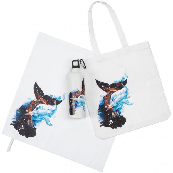 Набор «Гиганты Вселенной» 