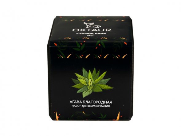 Набор для выращивания Small village cube Агава Благородная 