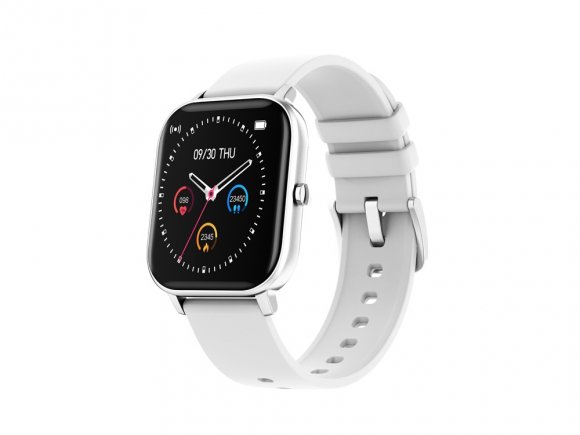 Смарт-часы Canyon SW-74 Wildberry , IP67, серебристый 