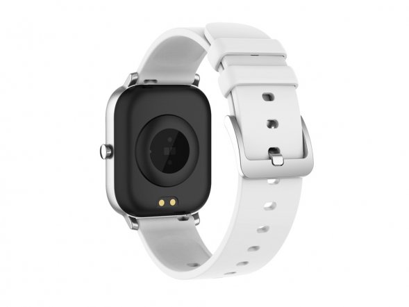 Смарт-часы Canyon SW-74 Wildberry , IP67, серебристый 