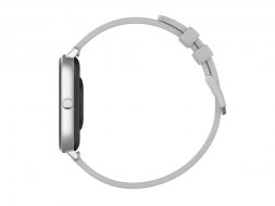 Смарт-часы Canyon SW-74 Wildberry , IP67, серебристый