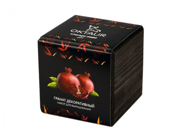 Набор для выращивания Small village cube Гранат комнатный 