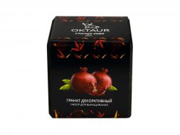 Набор для выращивания Small village cube Гранат комнатный