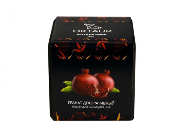 Набор для выращивания Small village cube Гранат комнатный 
