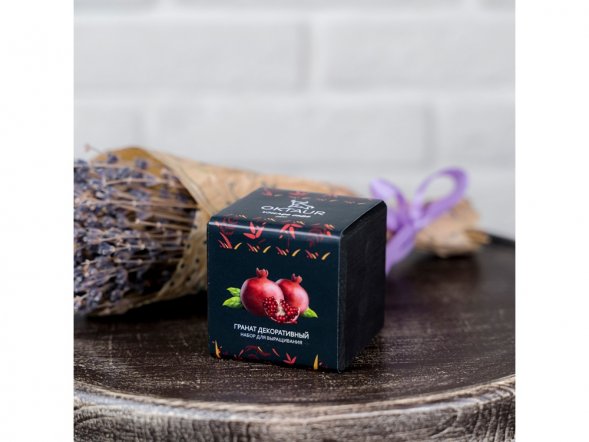 Набор для выращивания Small village cube Гранат комнатный 