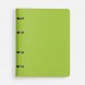 Ежедневник Ringo, недатированный, зеленый 