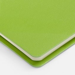 Ежедневник Ringo, недатированный, зеленый