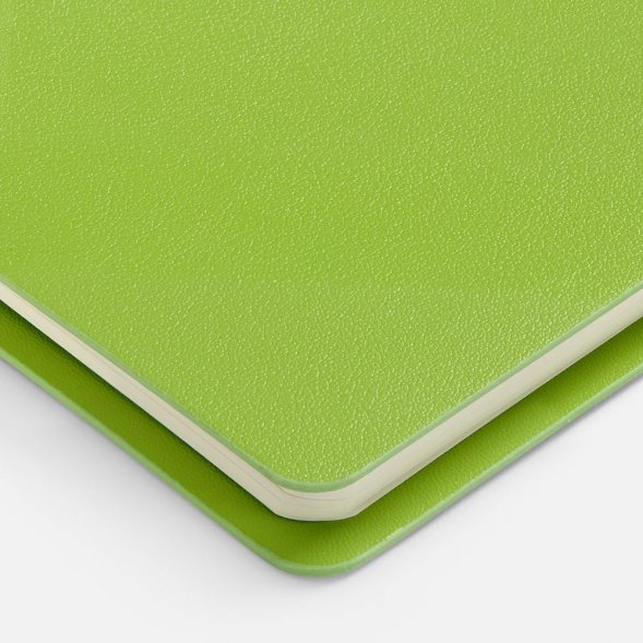 Ежедневник Ringo, недатированный, зеленый 