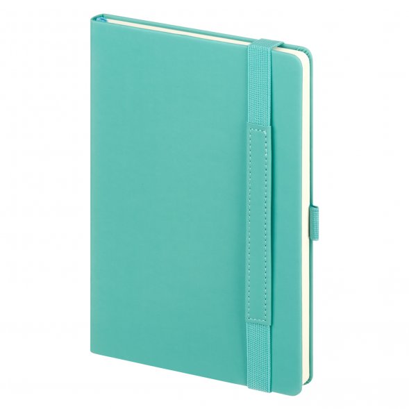 Ежедневник Alpha недатированный, бирюзовый/серый 