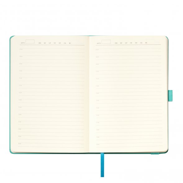 Ежедневник Alpha недатированный, бирюзовый/серый 