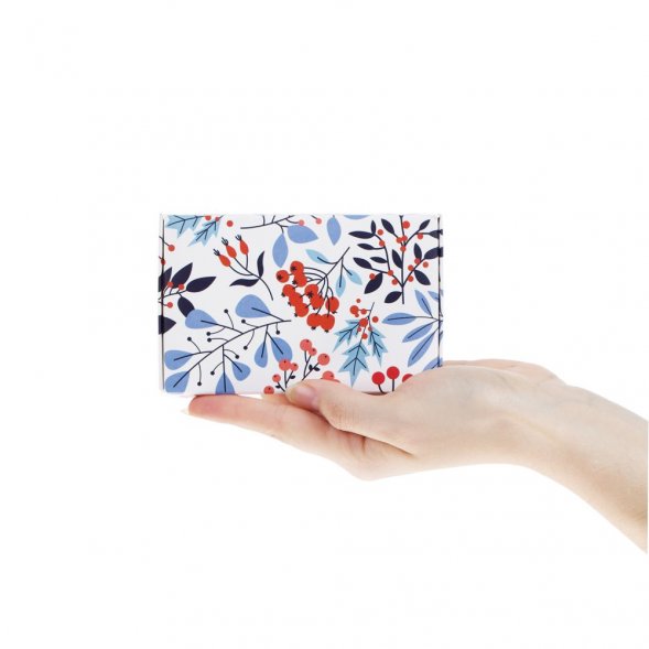 Набор Pasteala Mini 