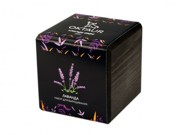 Набор для выращивания Small village cube Лаванда 