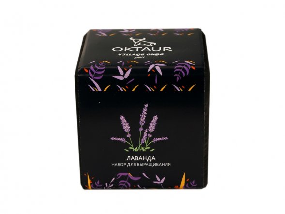 Набор для выращивания Small village cube Лаванда 
