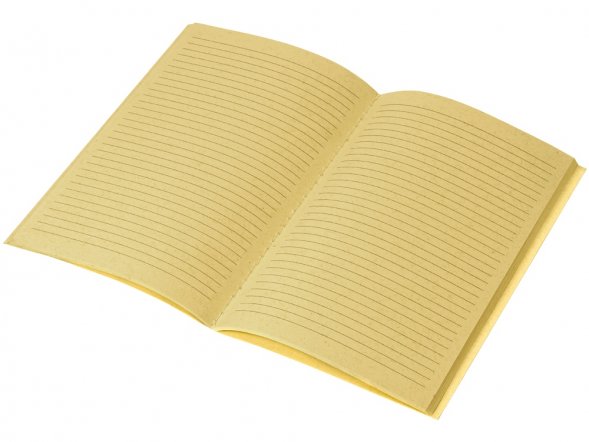 Блокнот А5 Marsilea из переработанного бамбука, 40 листов, гибкая обложка, натуральный 