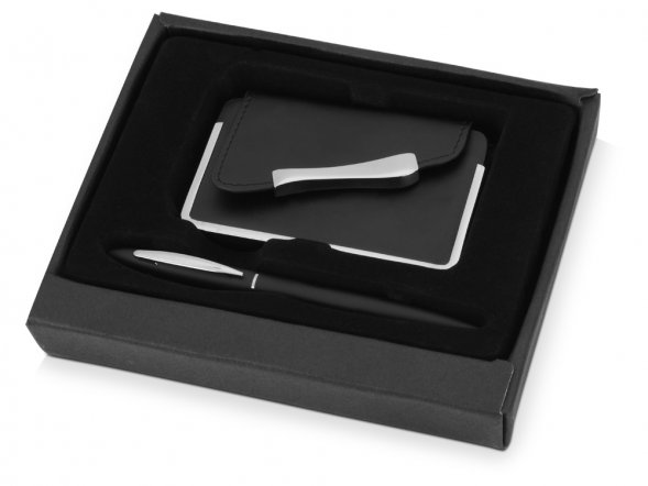 Набор: визитница, шариковая ручка 